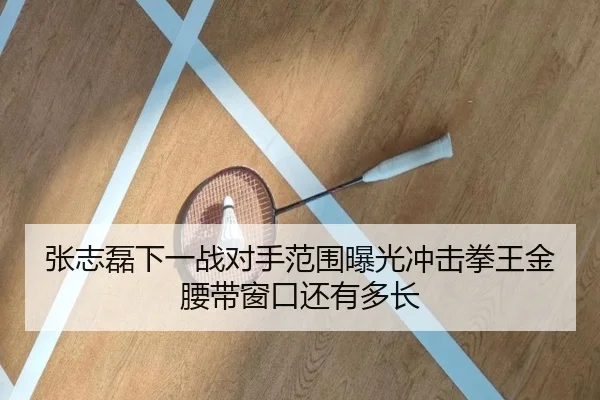 张志磊下一战对手范围曝光冲击拳王金腰带窗口还有多长